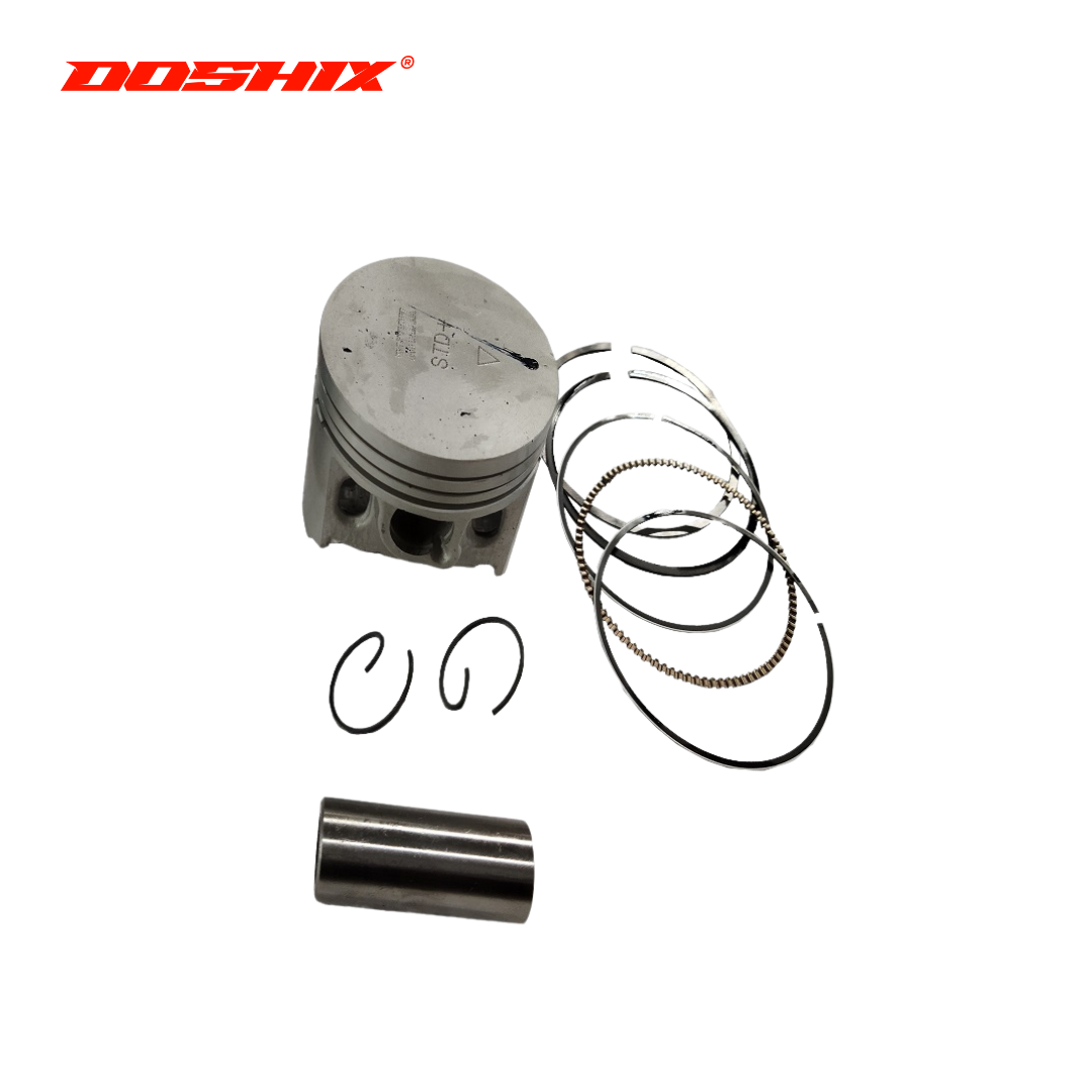 PISTON KIT WITH RING